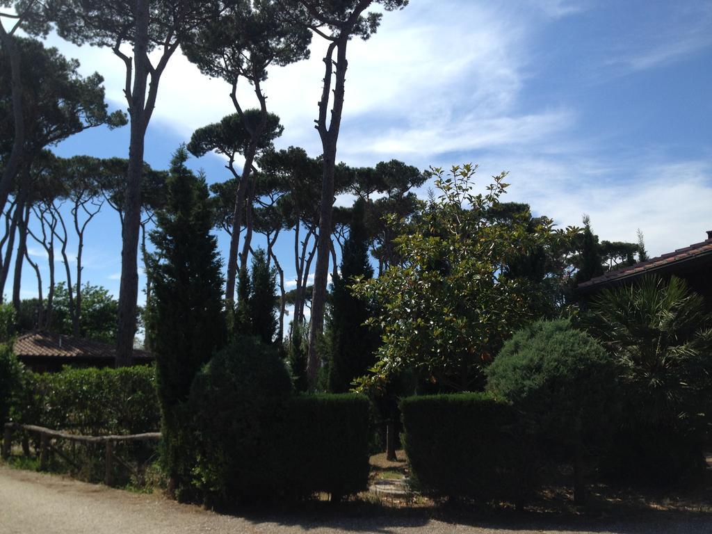 Camping Paradiso Viareggio Exterior foto